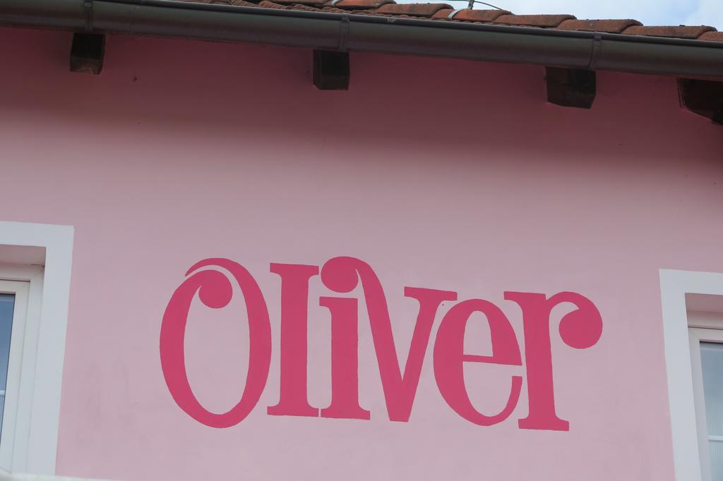 Penzion Oliver Horni Plana Exterior foto