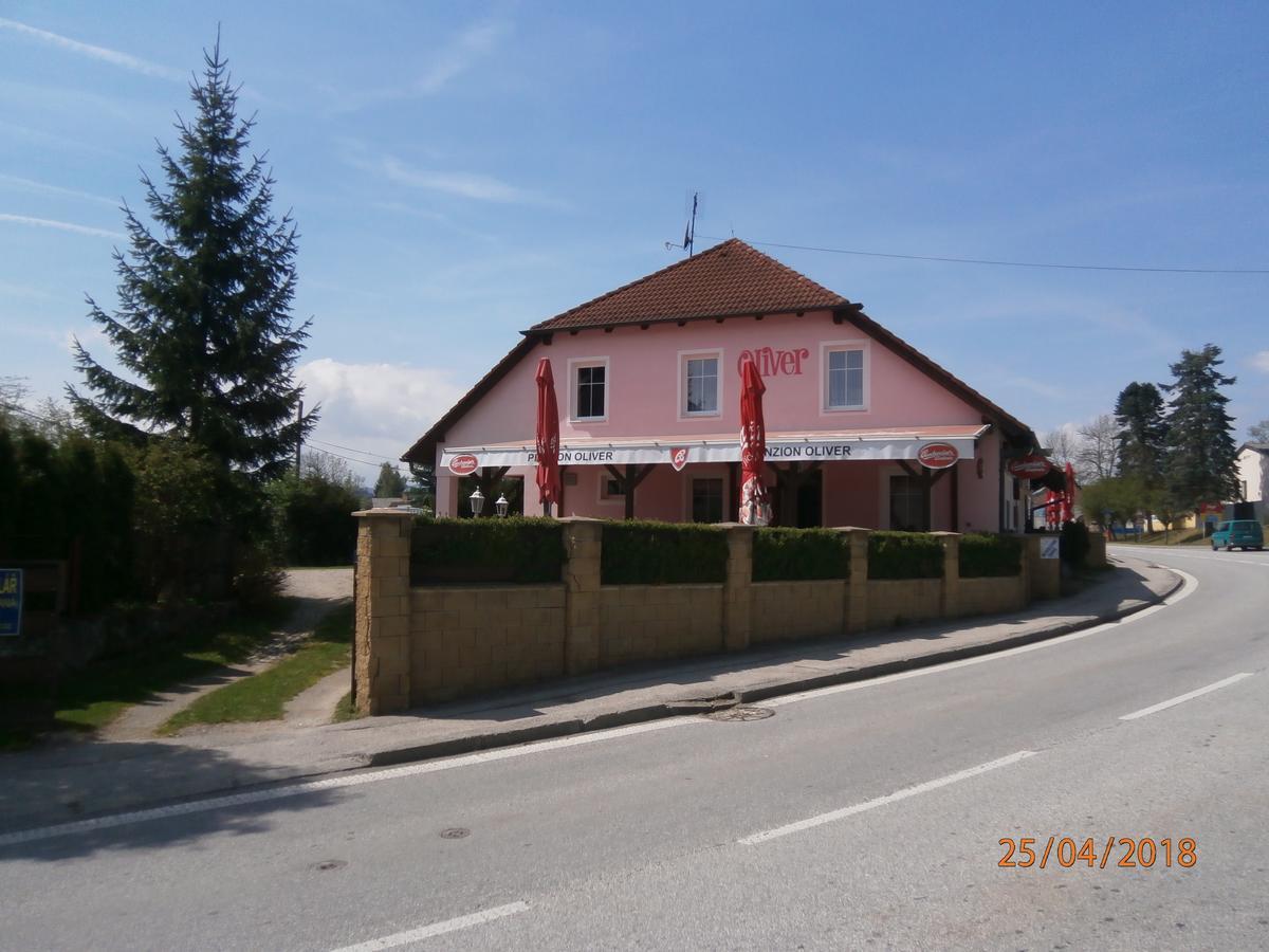 Penzion Oliver Horni Plana Exterior foto